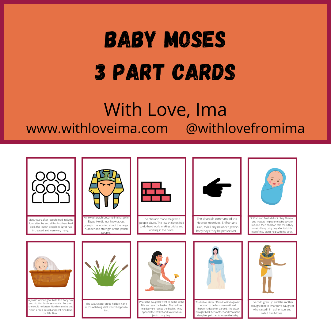 Baby Moses 3 Part Cards - With Love, Ima